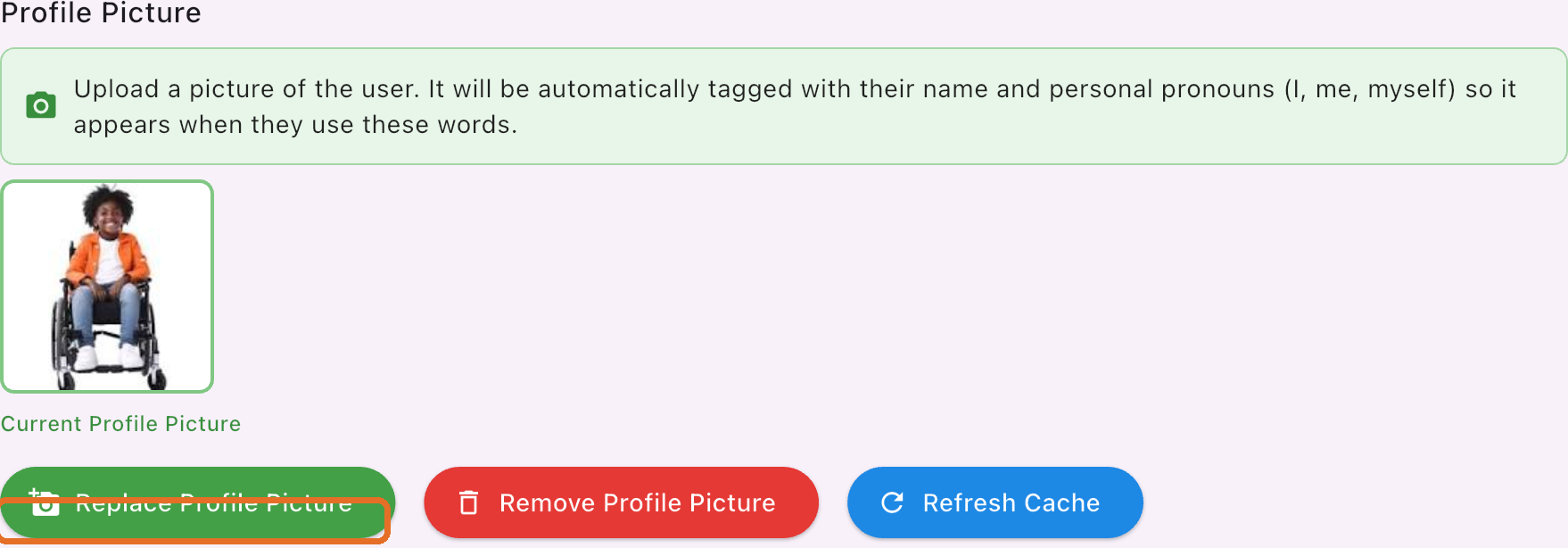Profile Picture section with Replace Profile Picture