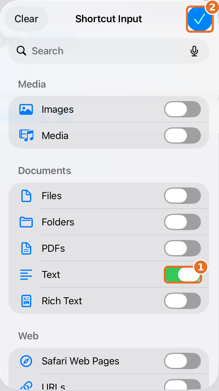 Only Text turned on, check mark highlighted